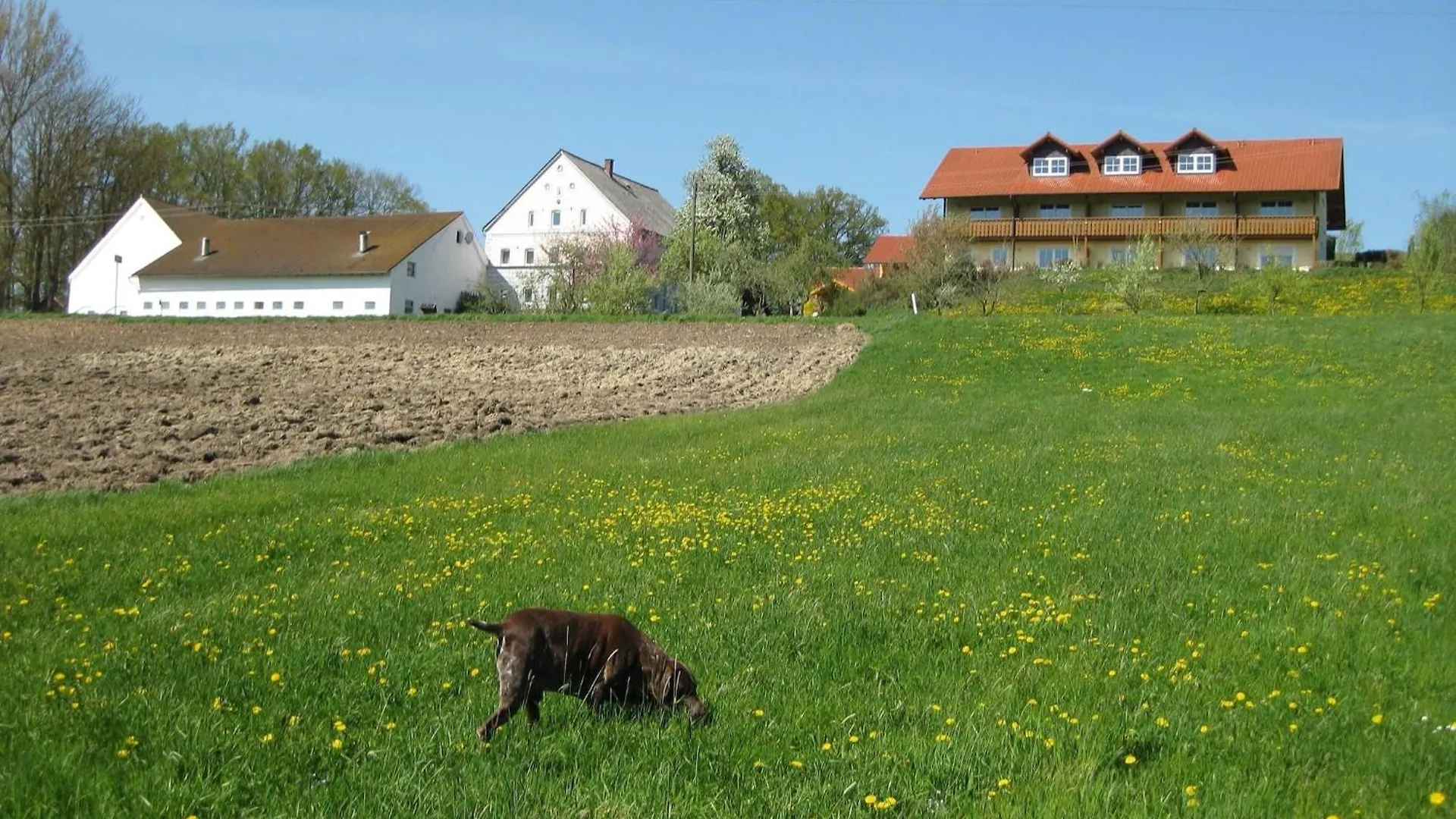 Comfortable Apartments In Rotthalm Nster Rotthalmuenster